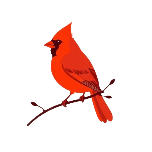 Cardinal accent